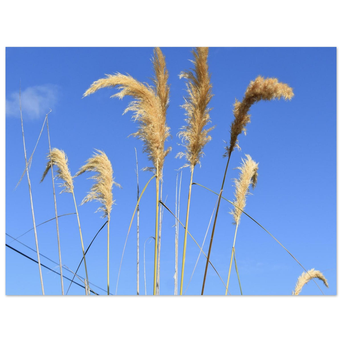 01f28ab5-5c91-4445-9173-132b893fdbbc