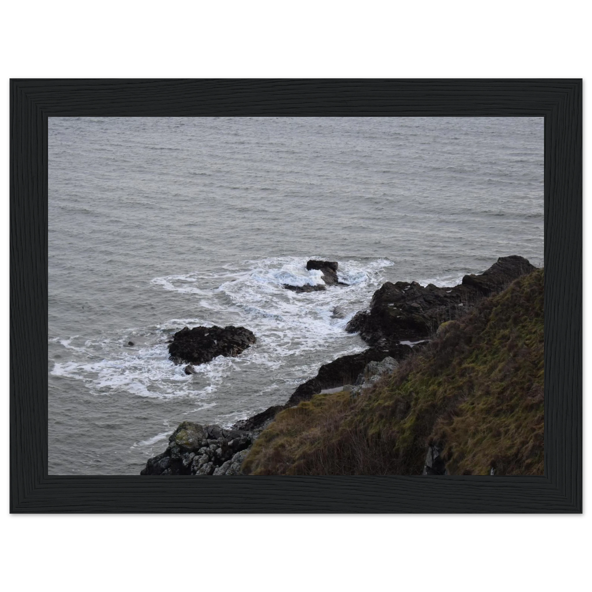 08cb9207-9b2a-4178-a305-2722a9474cf4