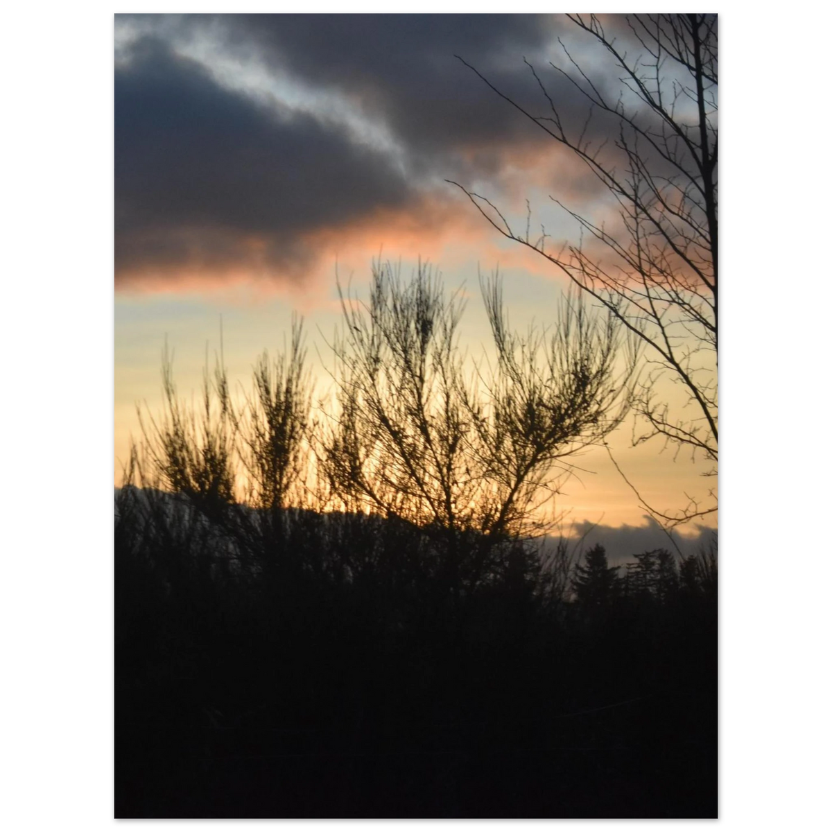 0a605da5-face-4a78-819a-fb696d41d1a3