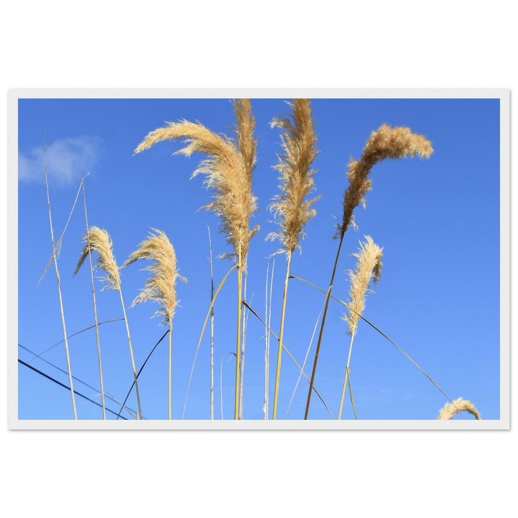 1ac1c4ea-dcd8-4b3c-93a9-a5045d16a418