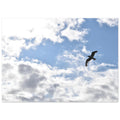 1b86238c-6b3e-44d3-9aee-2250e310a774
