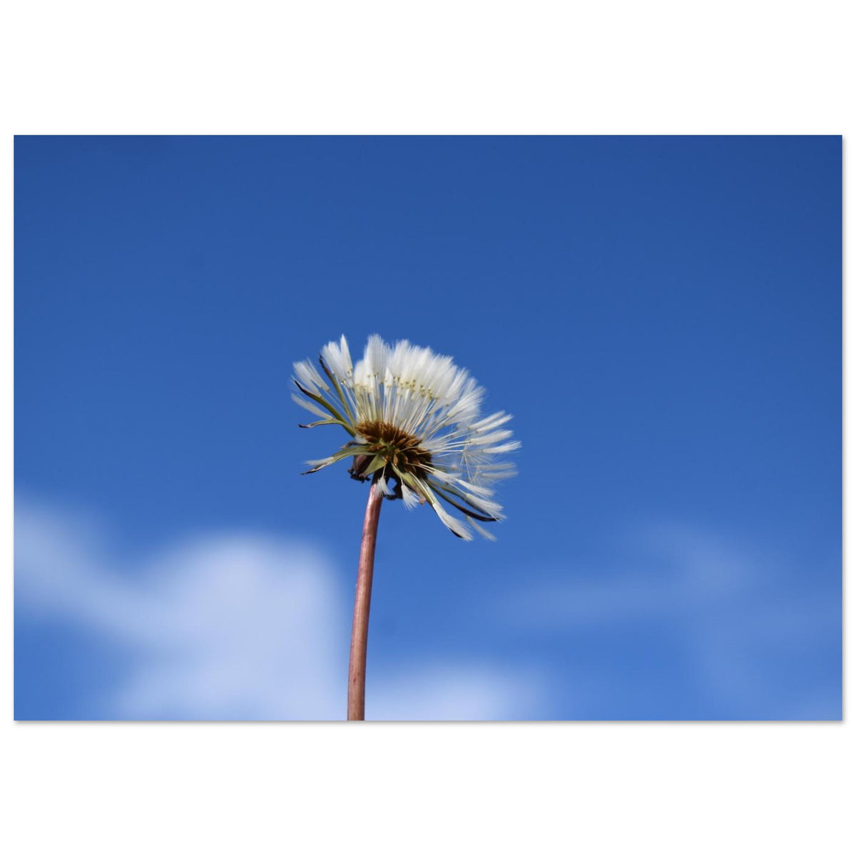 1d3f2a49-b102-4be2-a1b8-86a0a660f600