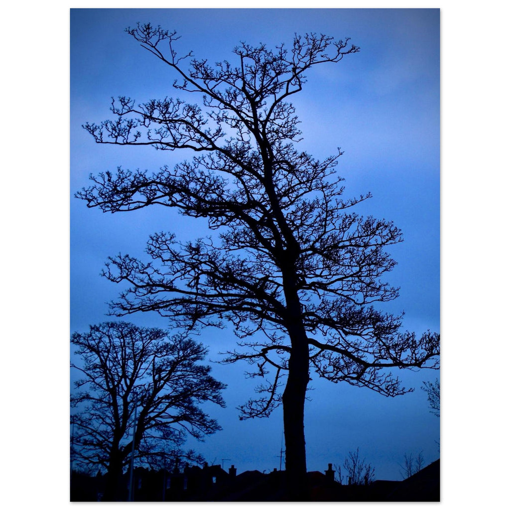 1fa62f50-d095-47cb-bb9f-6d97dbe8b755
