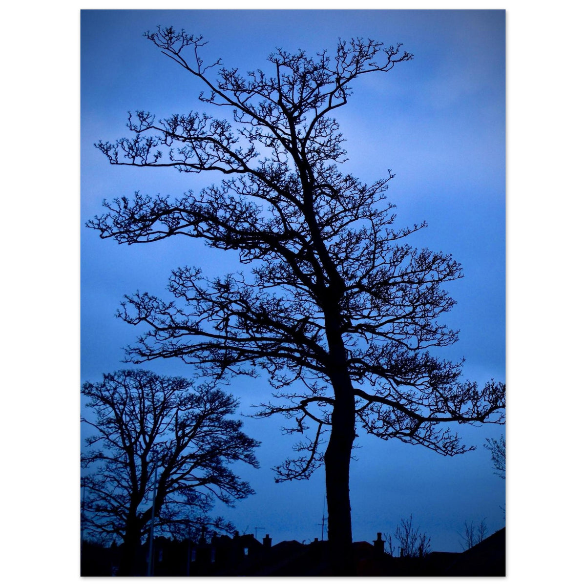1fa62f50-d095-47cb-bb9f-6d97dbe8b755