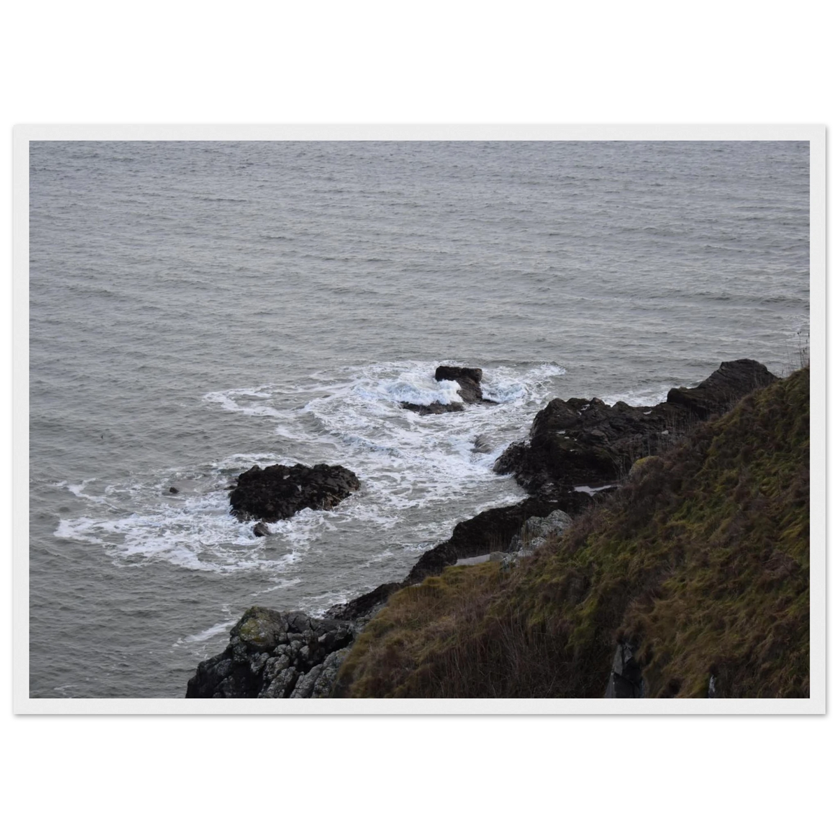 21f50d55-22f2-4a32-9b09-a799b6da05bc