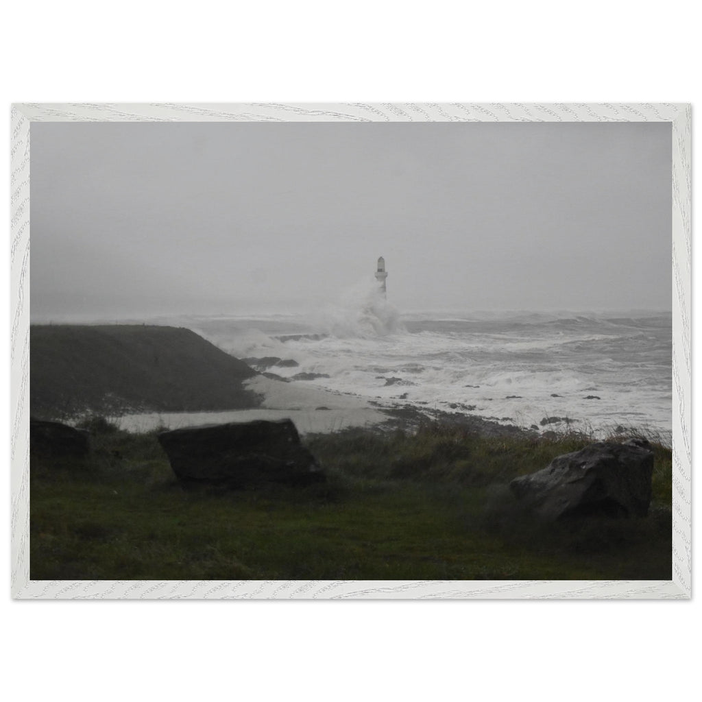 23e77595-ad76-4a8d-a033-312293c1864d