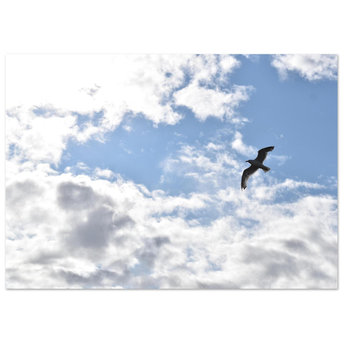 23f9817f-ca0f-4f64-bc9f-b0c1f5b575f0