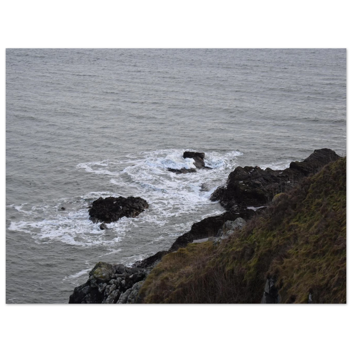 2621b4c7-b2a9-47d2-b393-a2b088696881