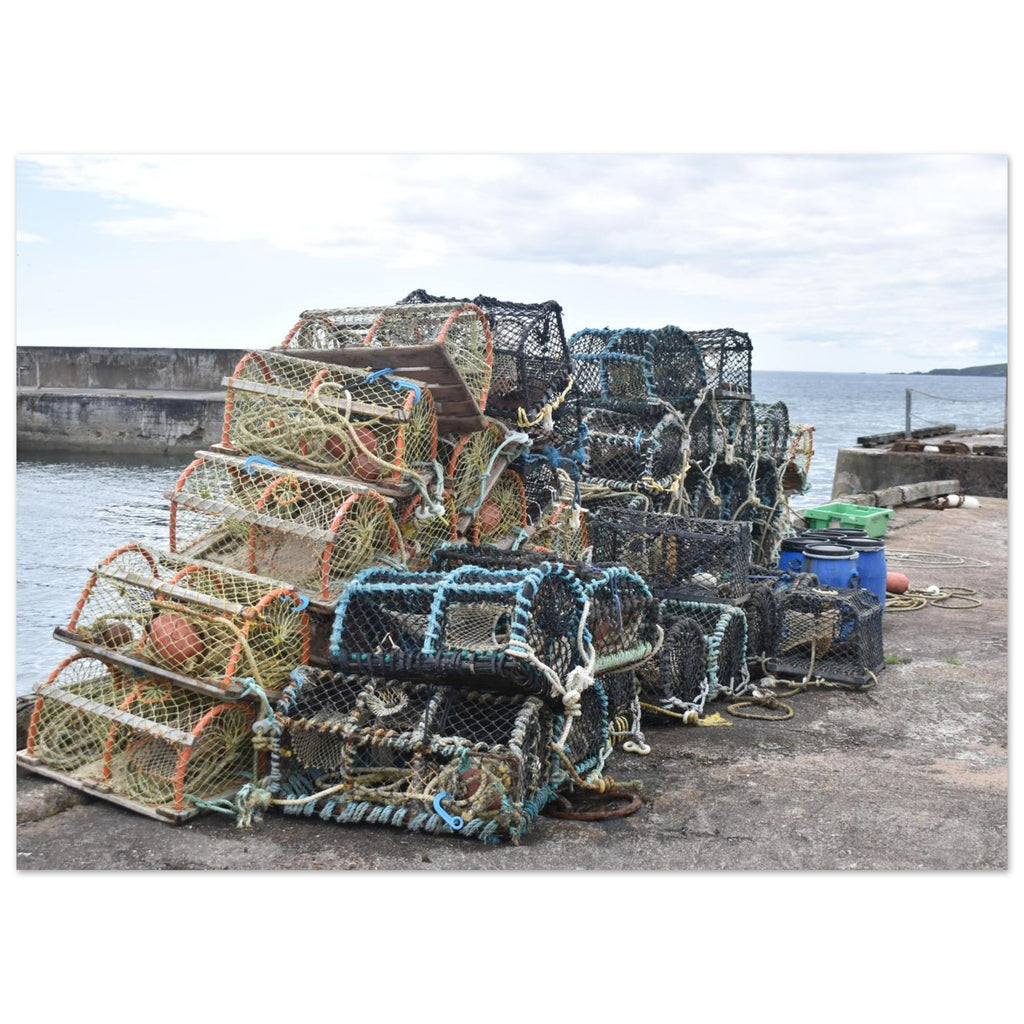 351bdd2d-586e-4fd5-8da9-a8441c07cbfb