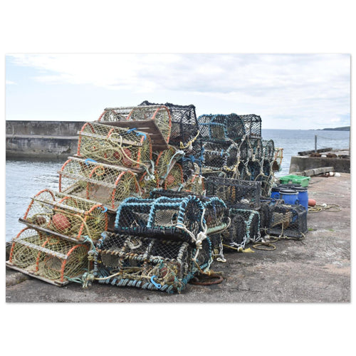 351bdd2d-586e-4fd5-8da9-a8441c07cbfb