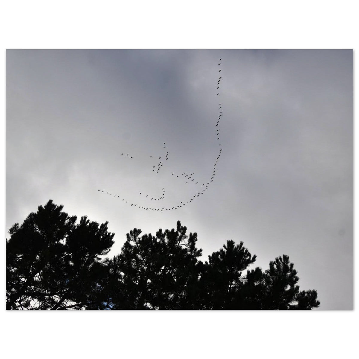 3b855e4b-faa1-4e24-8c3c-f43e34e20fcf