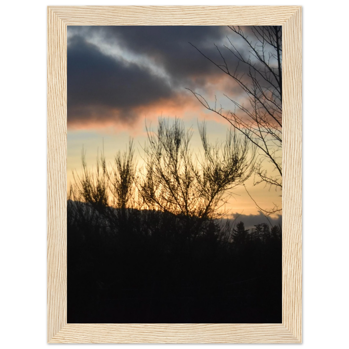 411a0874-cc5a-451a-88d8-0ac197f1ccc8