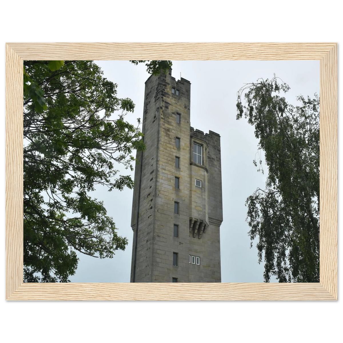 49abfcd3-6397-4b0c-9613-824f3d062845