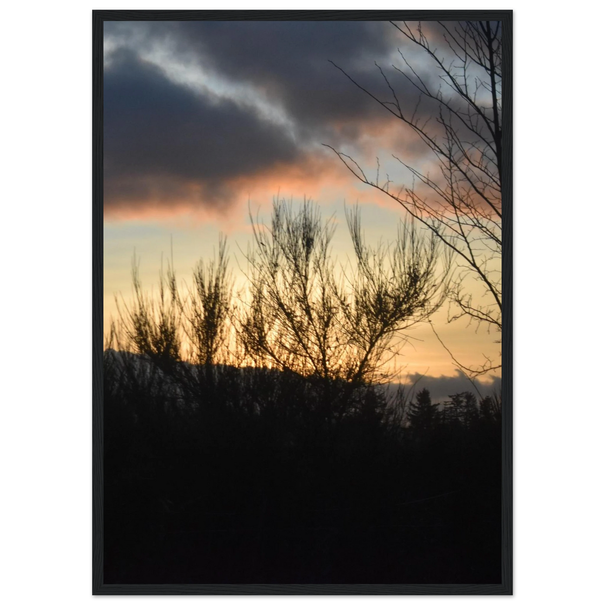 4a939d30-d779-49ad-aff5-9e6e8a465a97