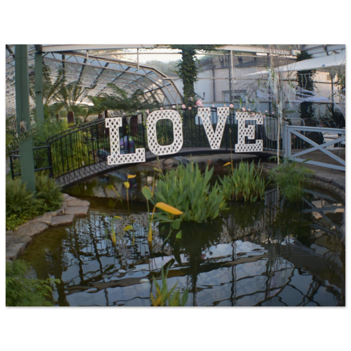 501d442d-4ae6-4453-b813-cbff2cd71e78