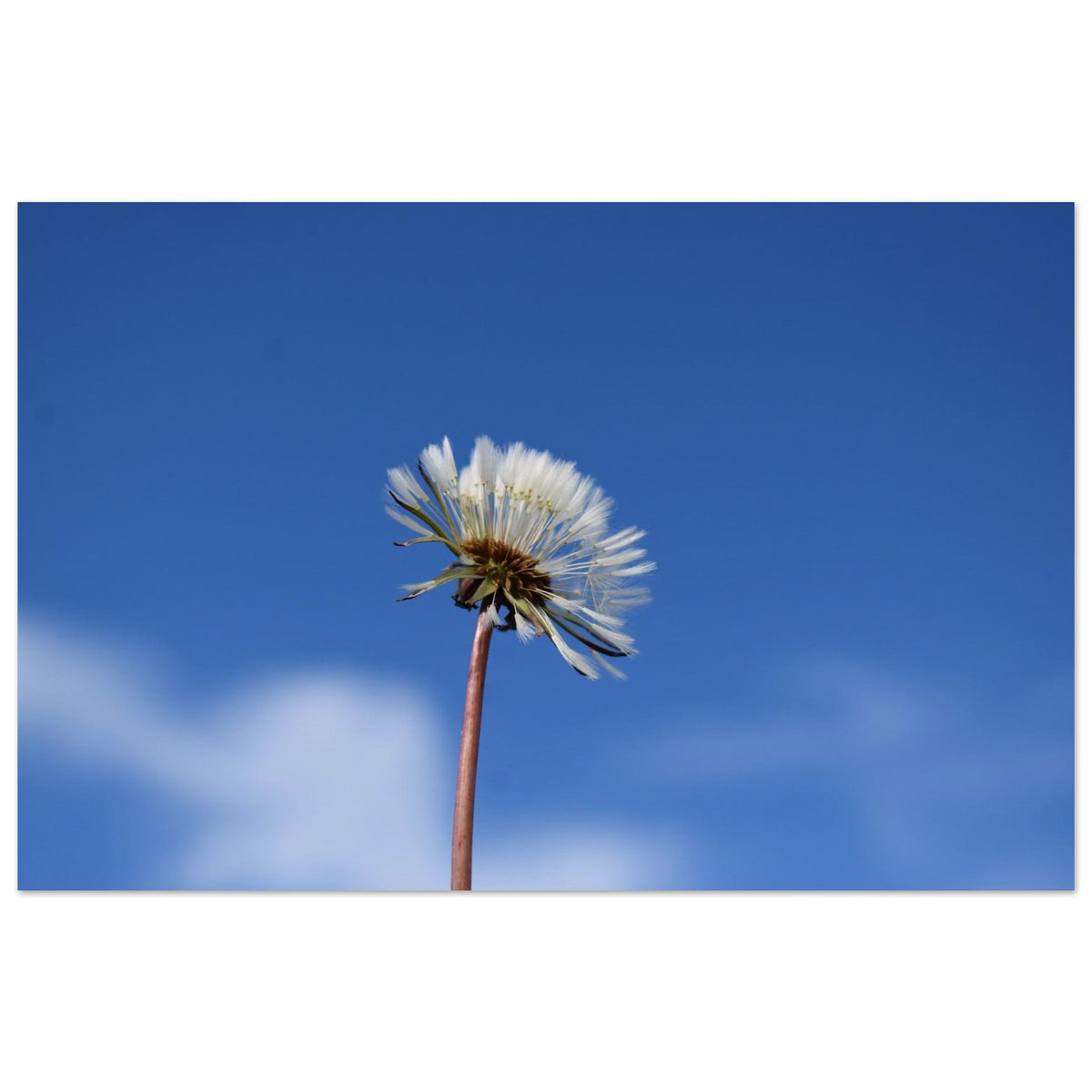 50d06ae5-1a24-4de6-9639-ade5a5099b14