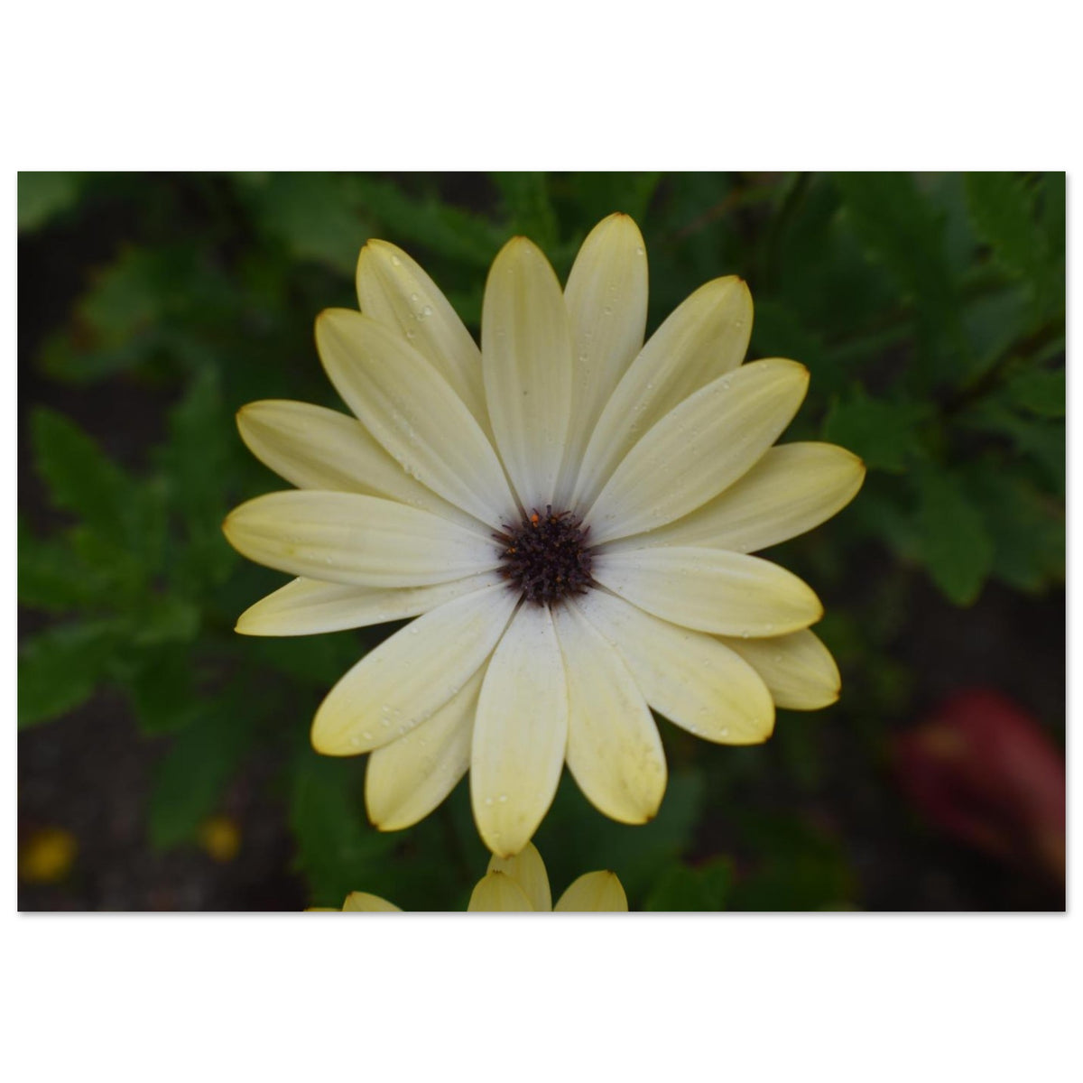 5345f937-399b-47a2-90f4-1118d878afe4