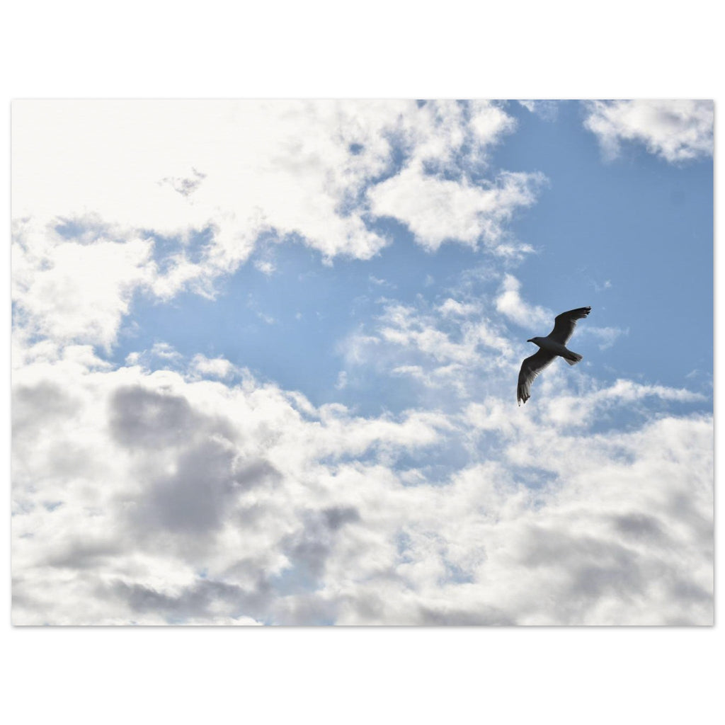 5b6774e9-37cd-4394-9319-4ca2f88508c1