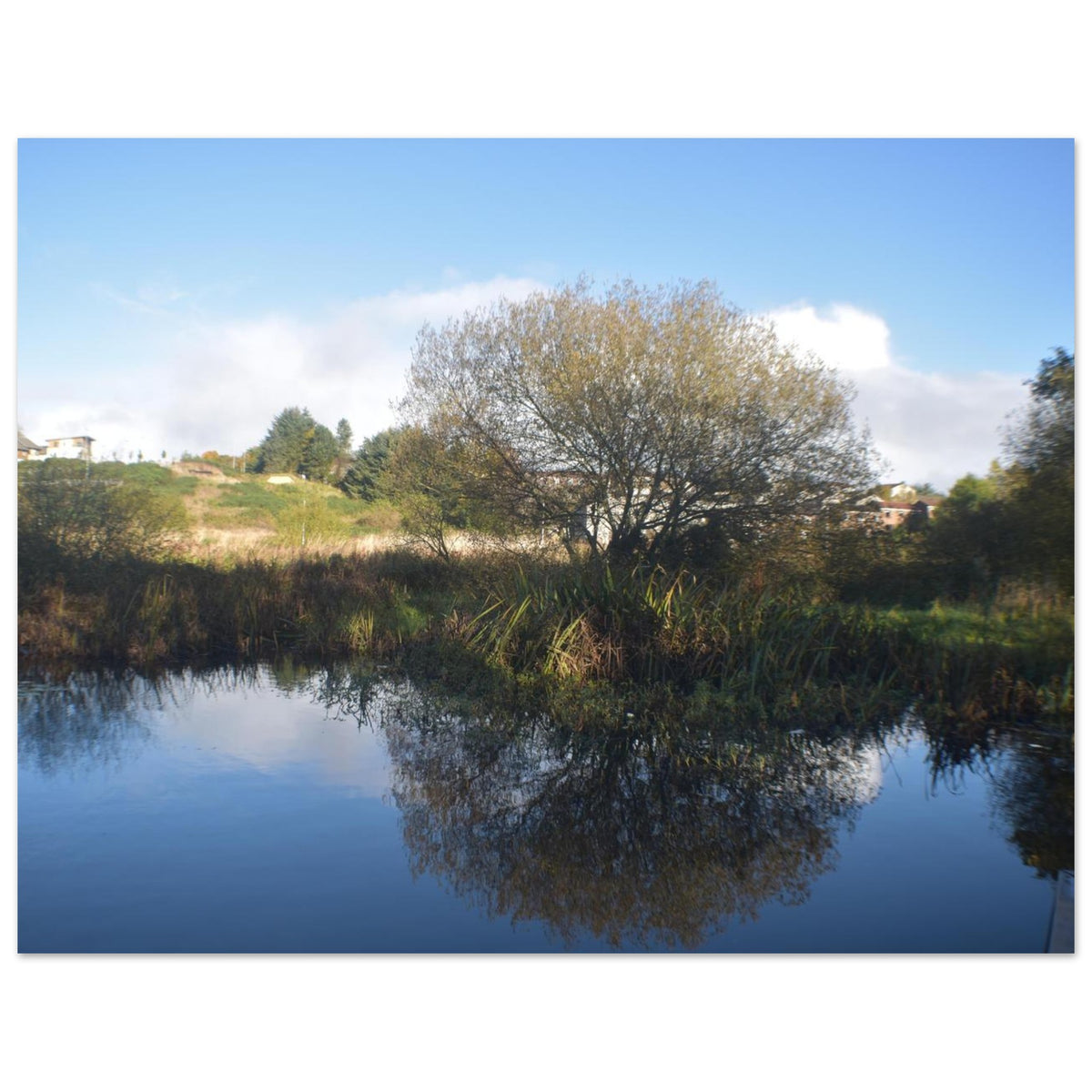 5d95025e-87de-4bbb-b8e4-353f454802d3