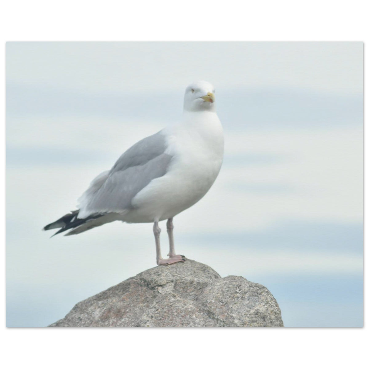 5dab0660-ed70-43df-a1af-19a60e9746ec