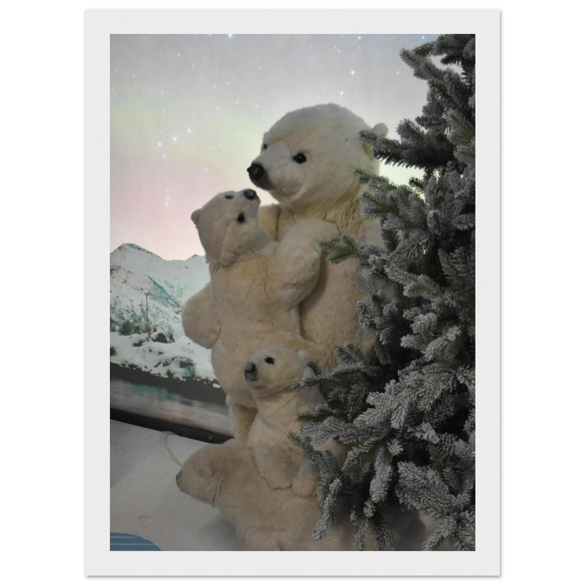 5ecf7865-8418-4a45-9498-9a8f8bce1229