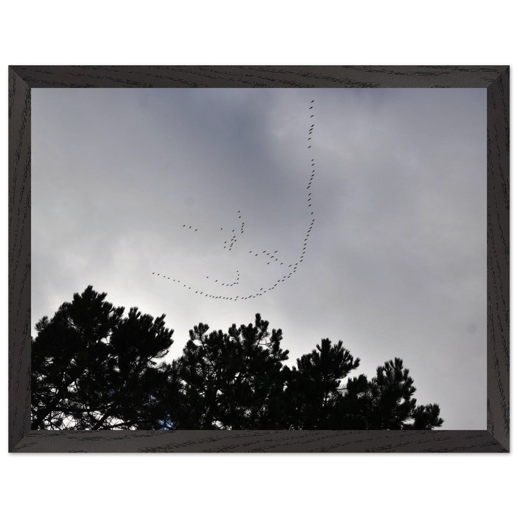 60630df9-f0de-45e4-b5d2-c6055f0d4c36