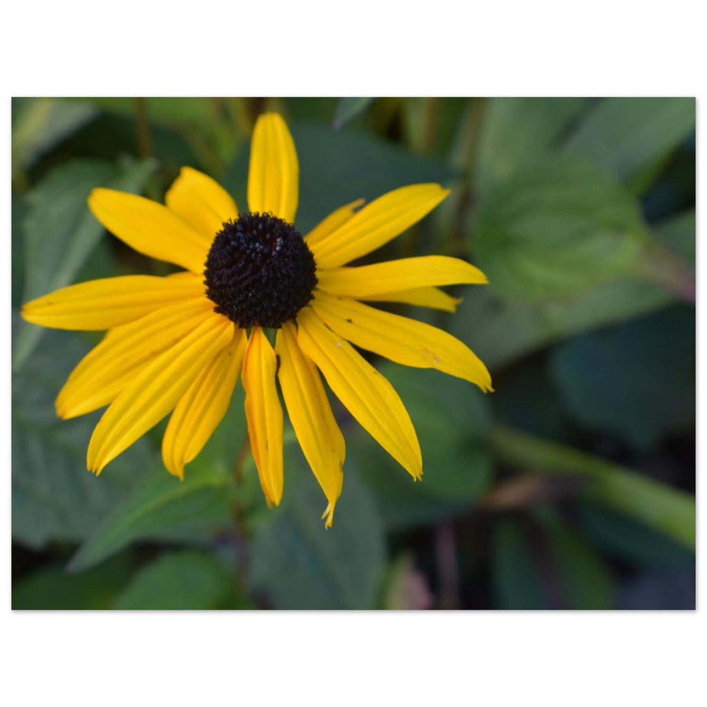 631a602e-ea45-414a-bee9-0853a5a2620b
