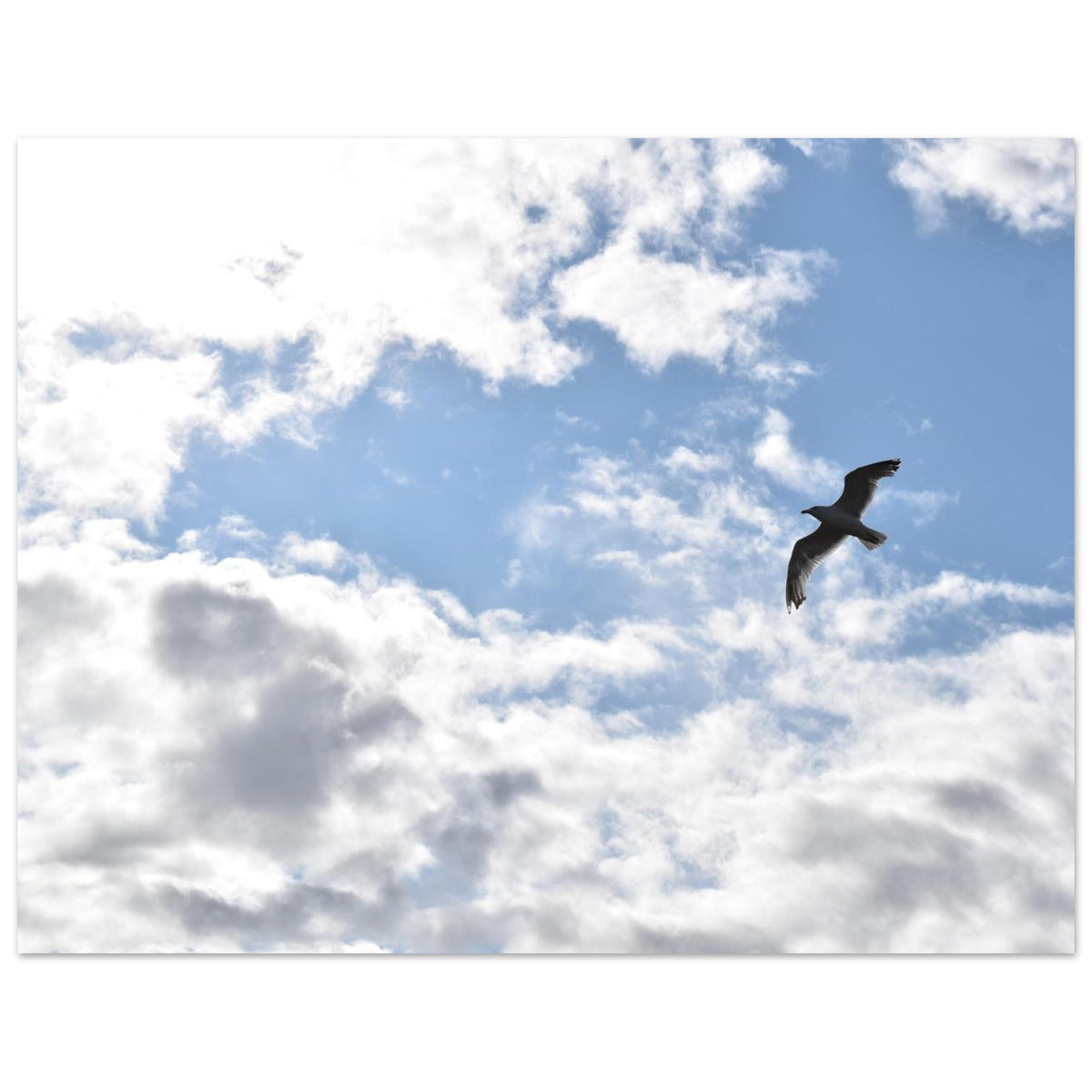 67d4acc6-7e2e-4641-89bc-c51b47df4db0