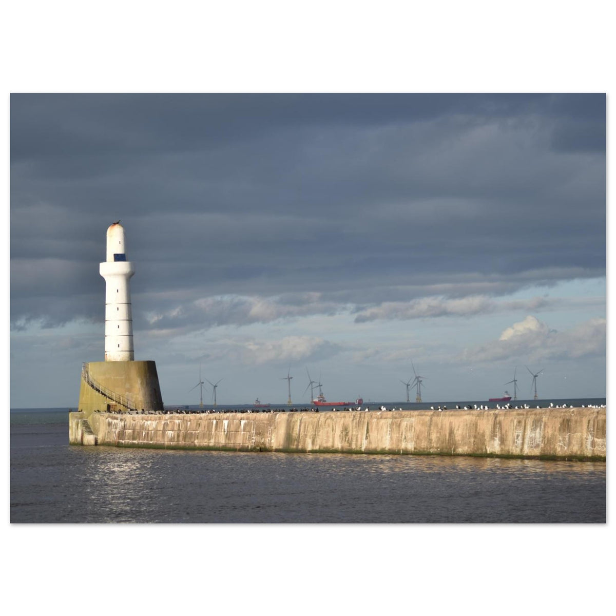 726790d3-3461-4b5a-8911-7661c428e804