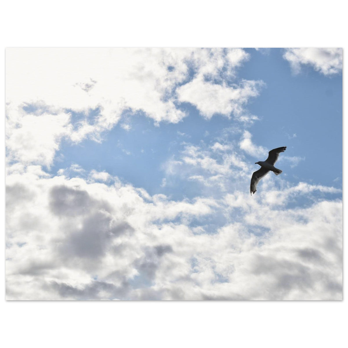 769d067b-5f91-4e28-994a-b0108c555f09