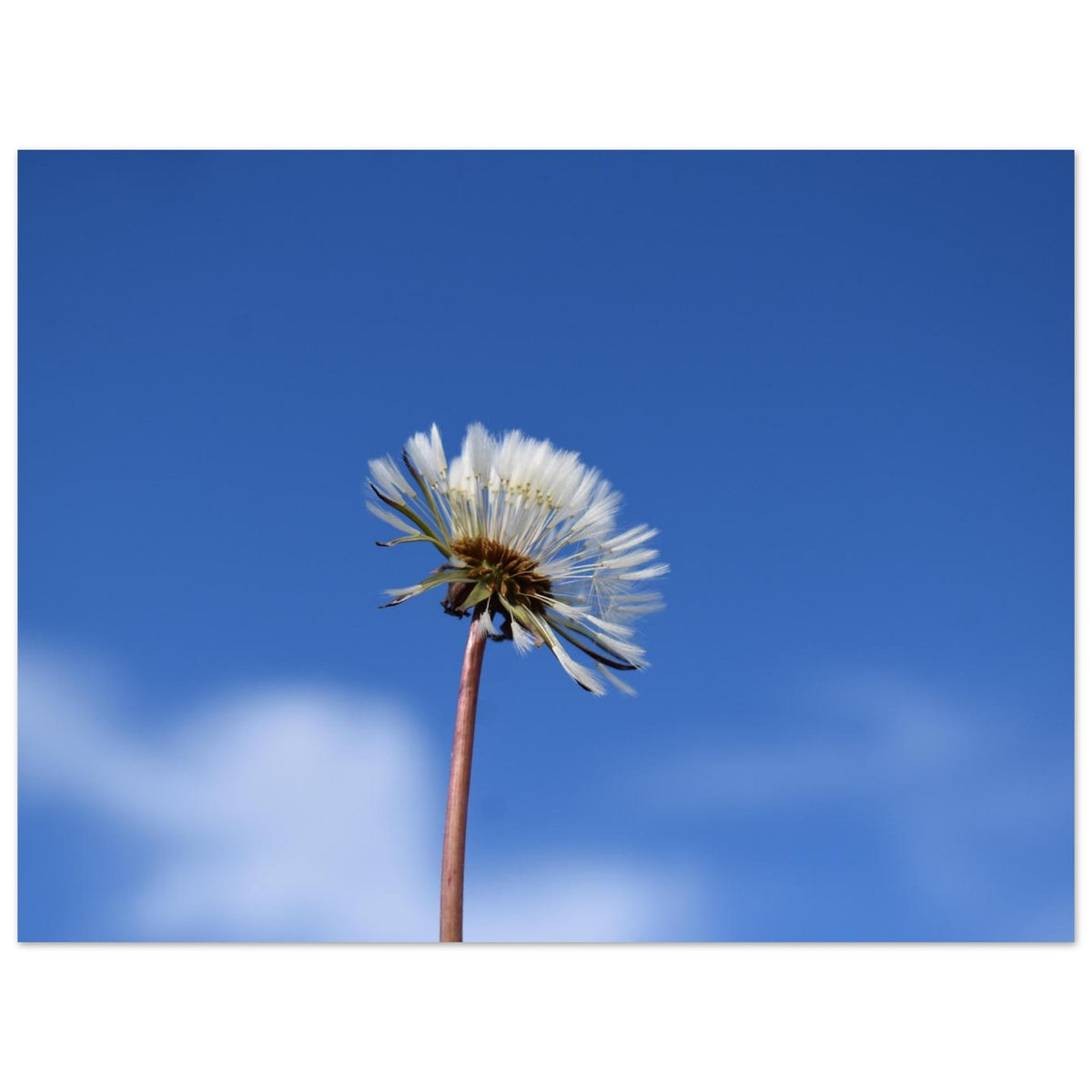 79d38e17-948d-4ec5-a1bb-7151669bc5b9