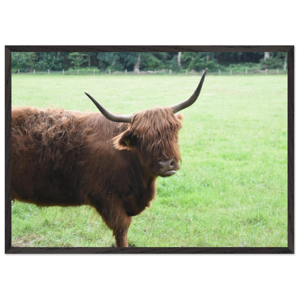 7b4a6672-178c-4dc4-b6b0-f1f2e5af9b38