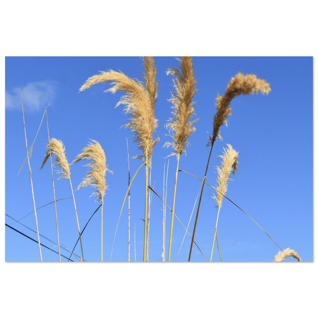7c2f6057-f5fa-4eae-b583-a1939e18da10
