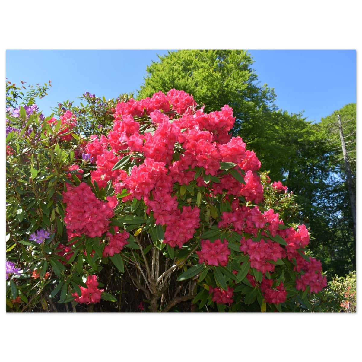 7d652f9e-7bb1-419f-8622-7bc4275e581a
