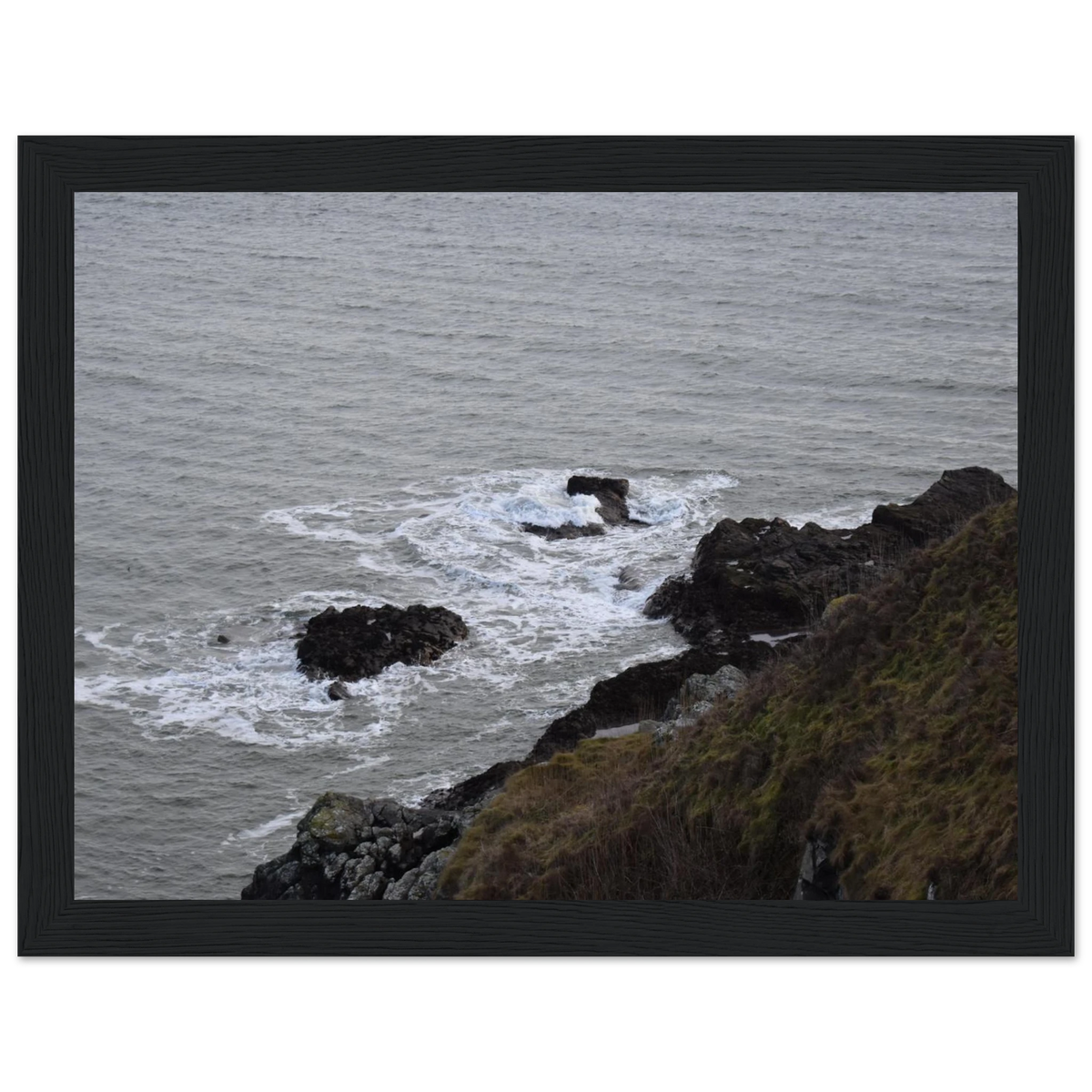 839d5541-ffca-4ffc-b27f-a6a2871f8f06