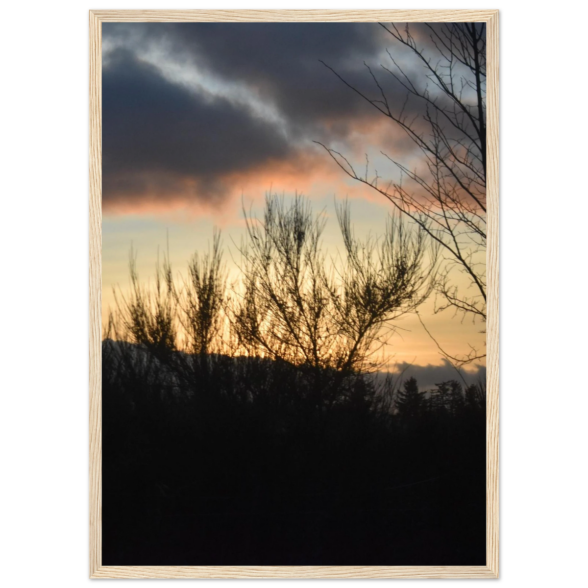 8413327d-a803-4cd2-870f-0df4dddcb6cc