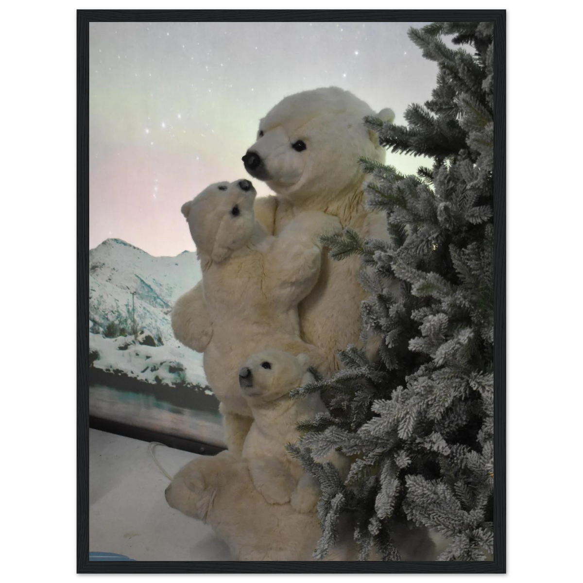 87518d95-d19b-4bd8-a950-6171934443f4