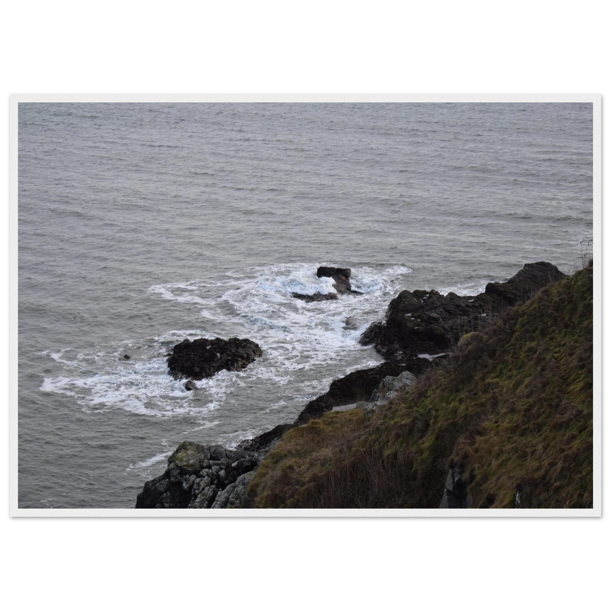 8838f73d-1d67-4921-82ef-5831dd90d997