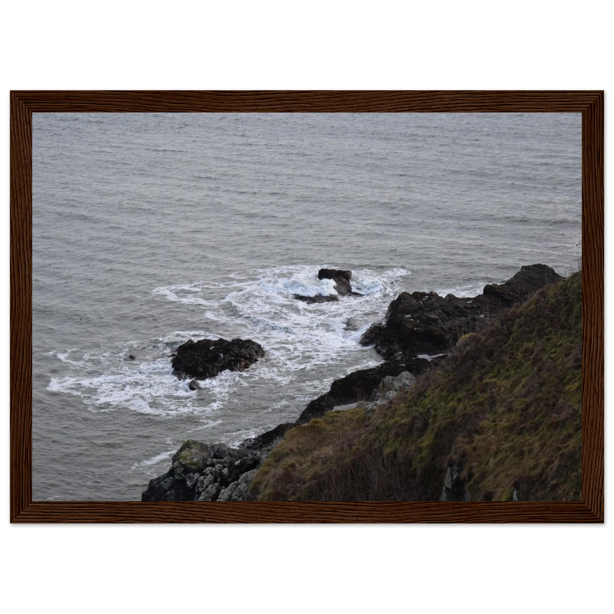88e95053-29c7-4768-b091-329f9da20207