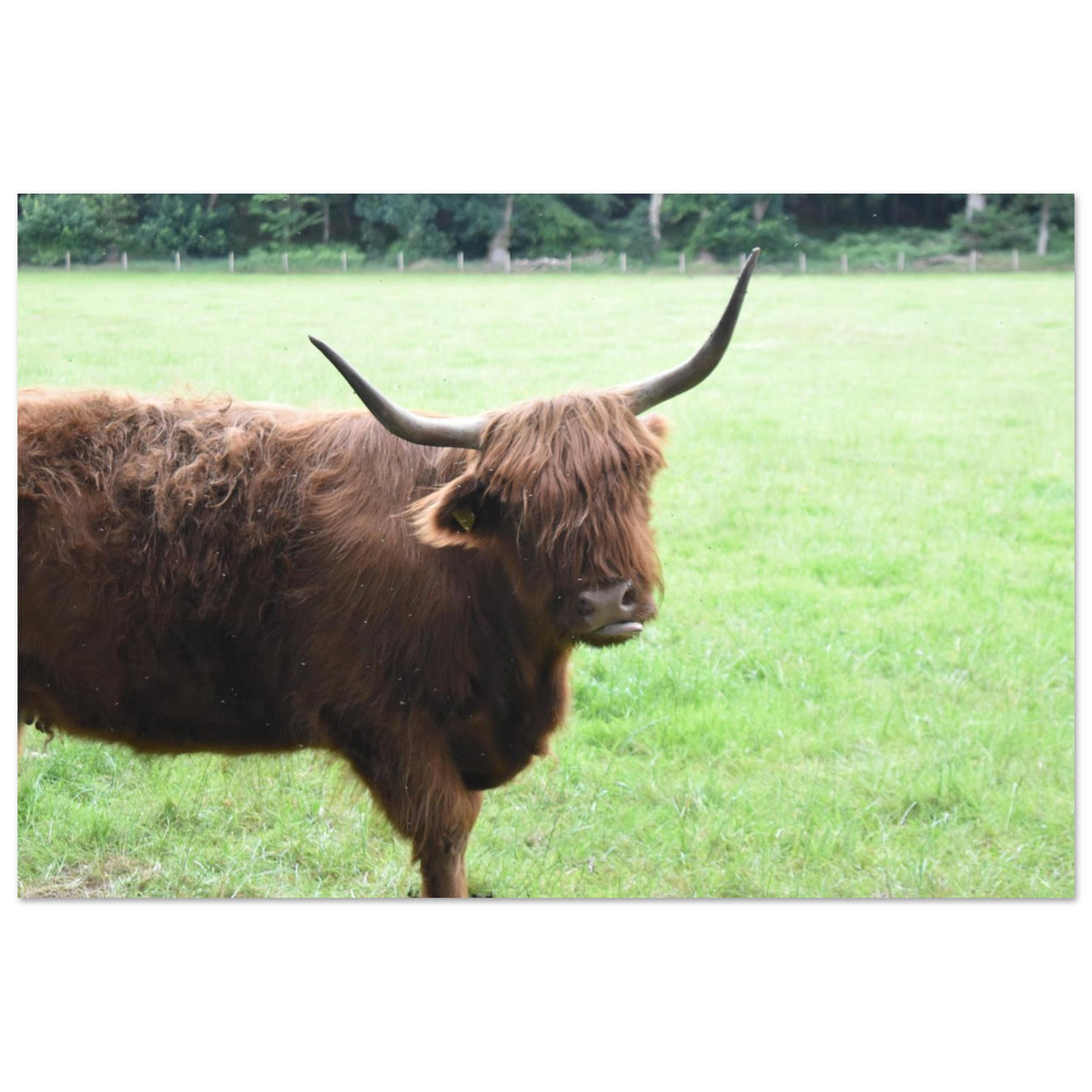 8ad87b32-a898-40fd-9f8e-926ef4ec6f8f