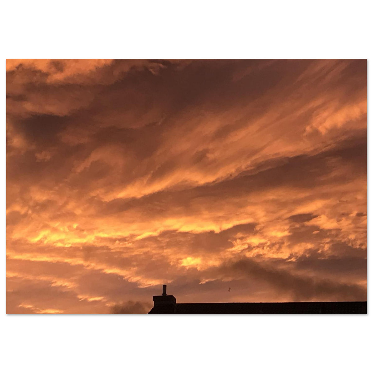 8c20e2ee-5402-409a-b6db-feb48a8f5caa