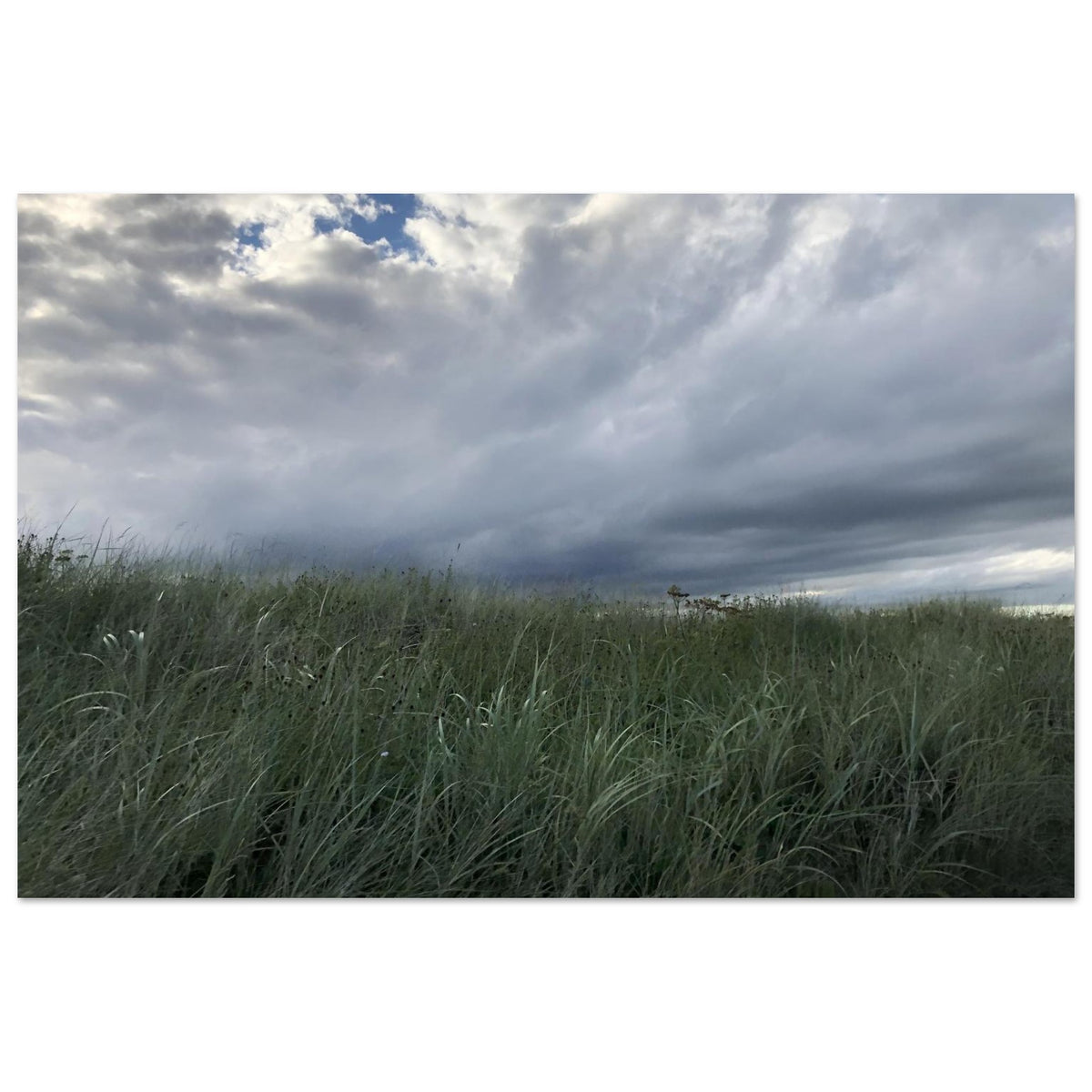 8c49ed03-1d3e-4109-af4f-b037f8771de0