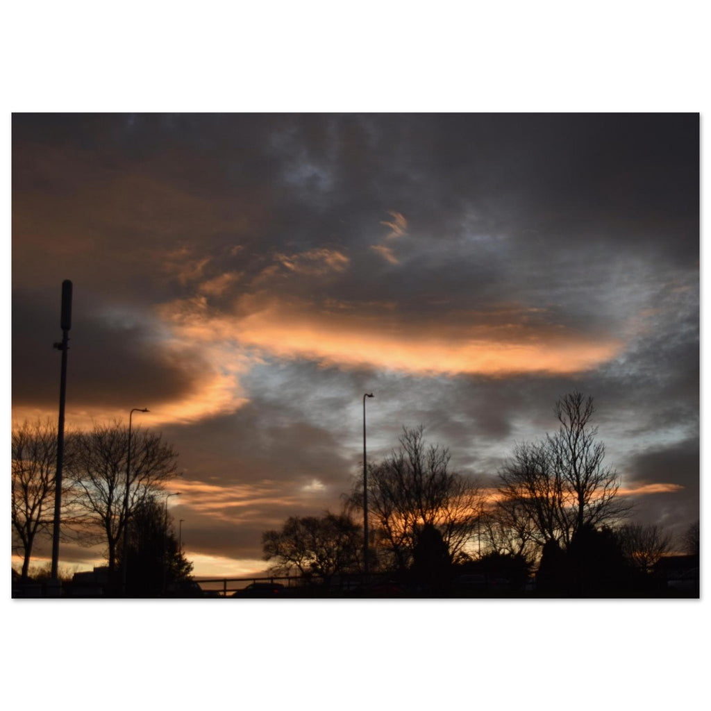 8e66c33a-feb1-4a37-843c-b677ec2260ed
