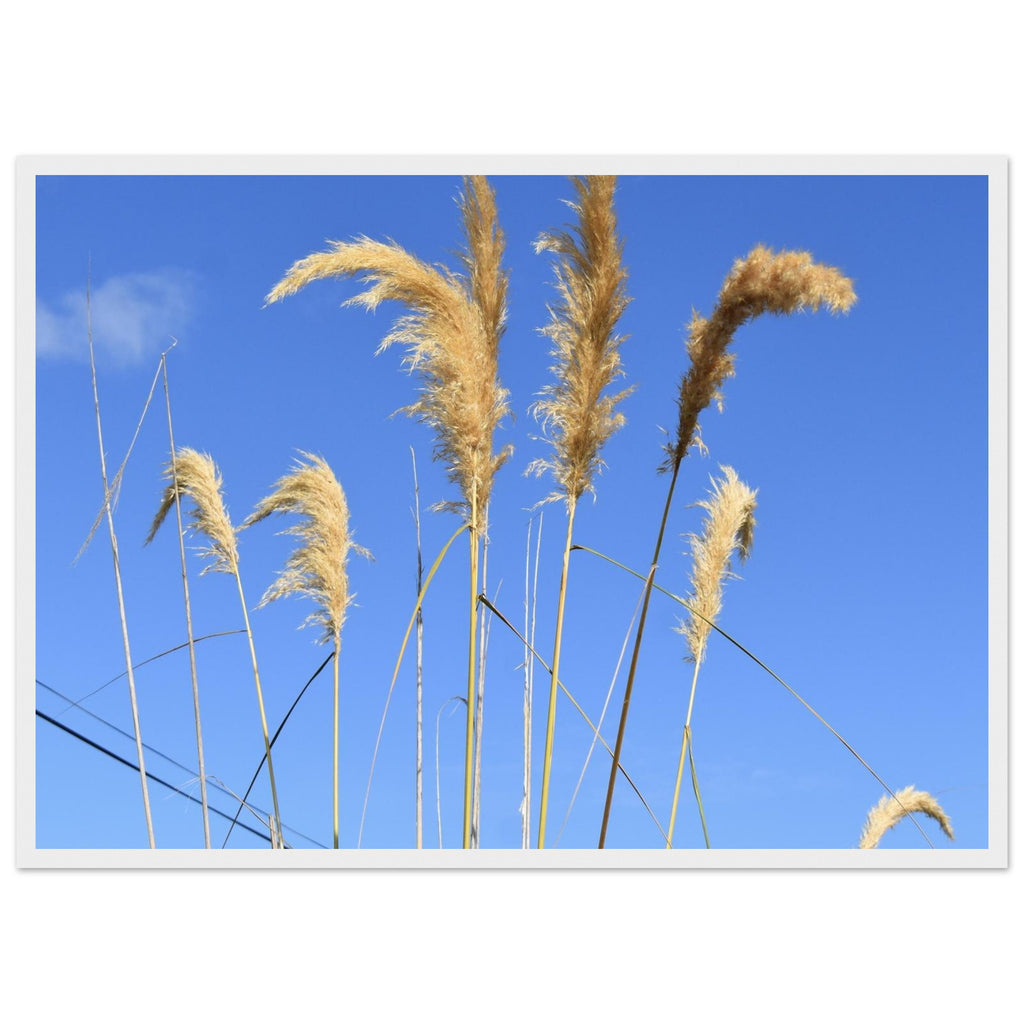 97f3231d-fd5a-4560-9645-b95800fdfa29
