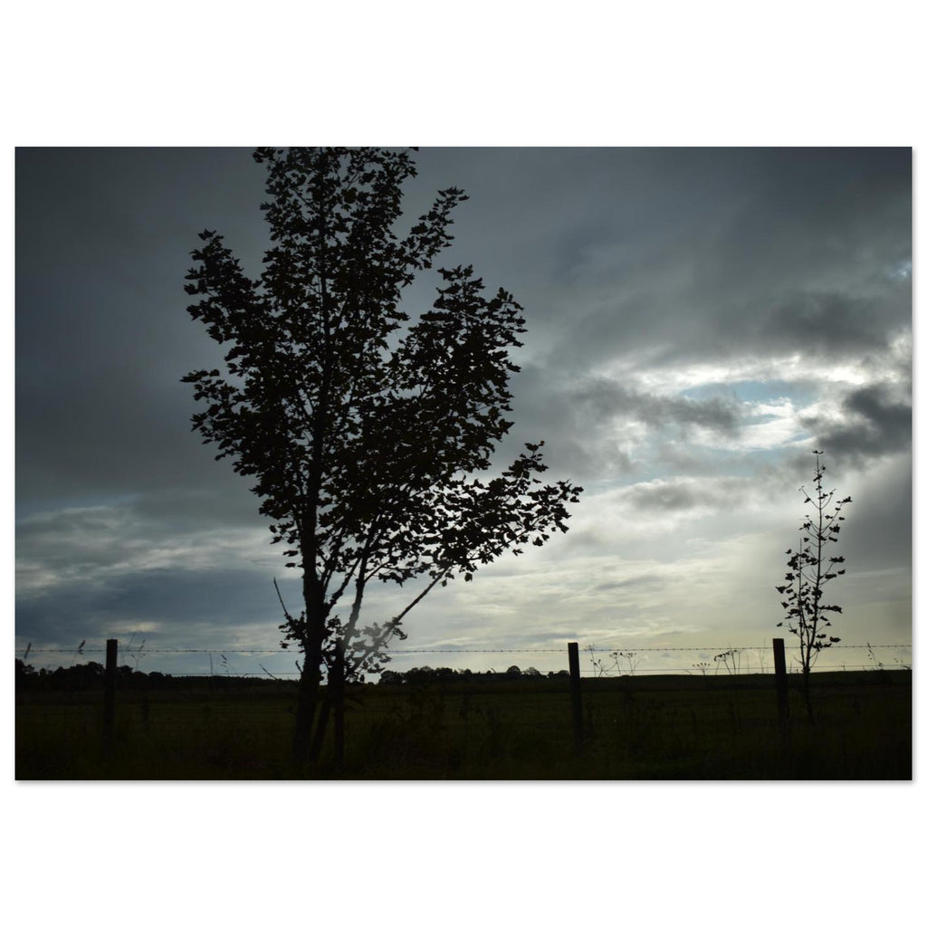 9c724c03-ab06-47db-86ad-ed9298910ffb
