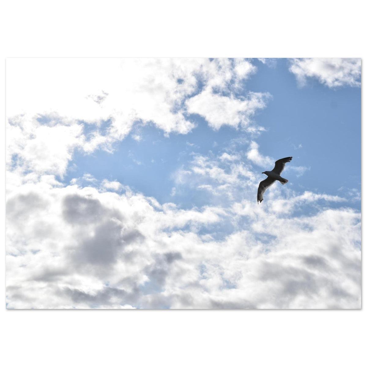 a0c30baa-8b16-49fc-aa44-02b923276eb3