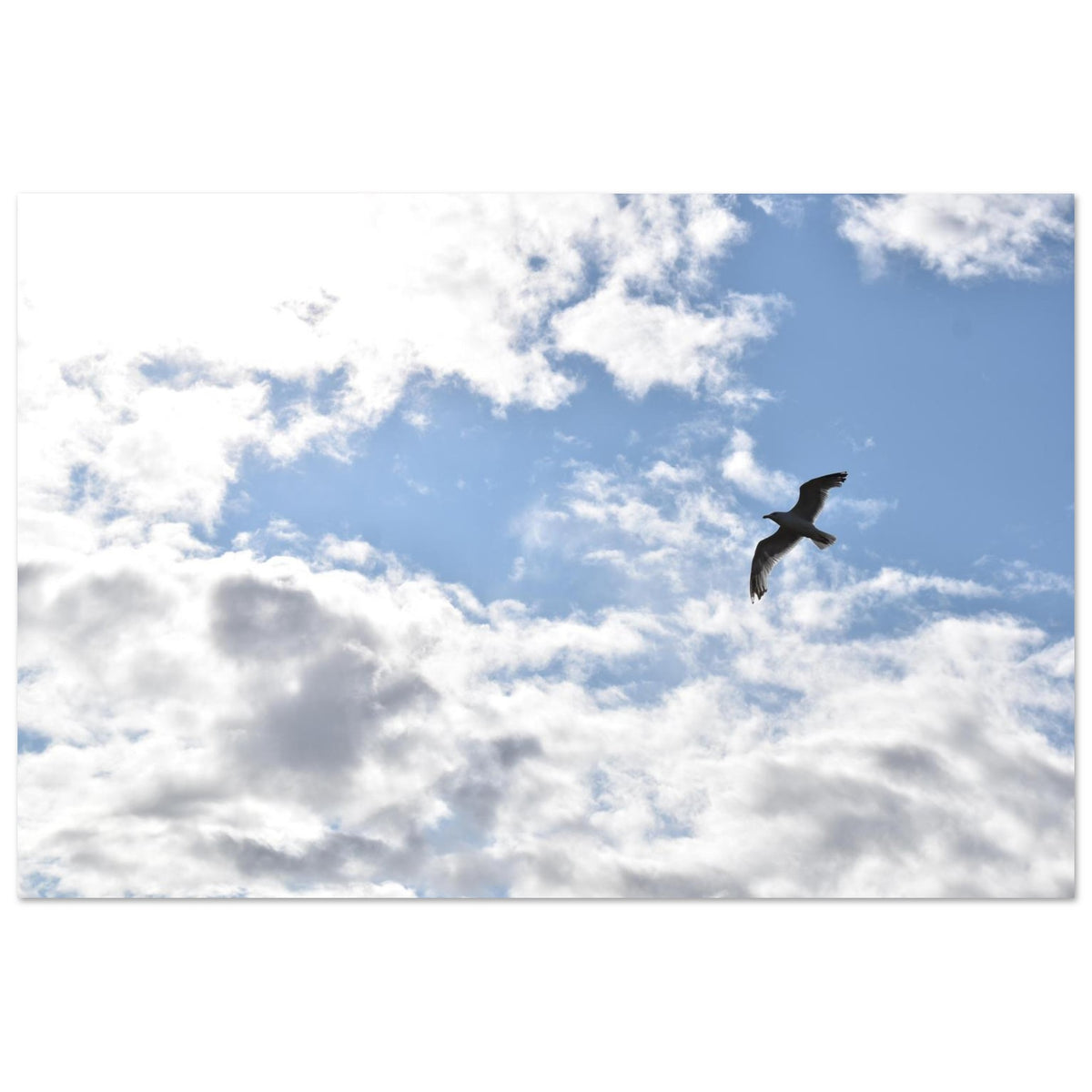 a7ede12f-f799-4a05-b8b9-390907f426af