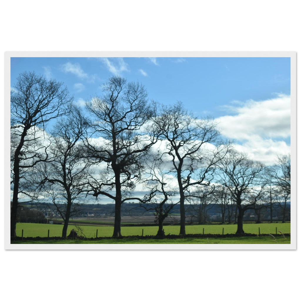 b076fc55-80b7-410c-85b1-194f0512d014