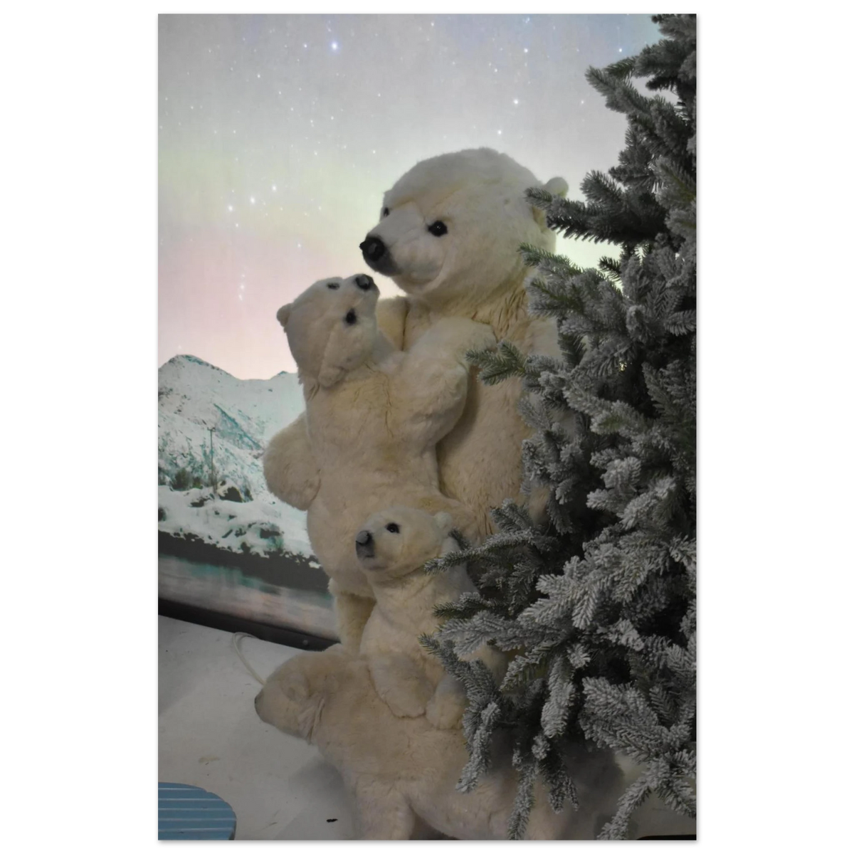 c37131db-48a9-48d2-9ae9-a0b9f75d8873