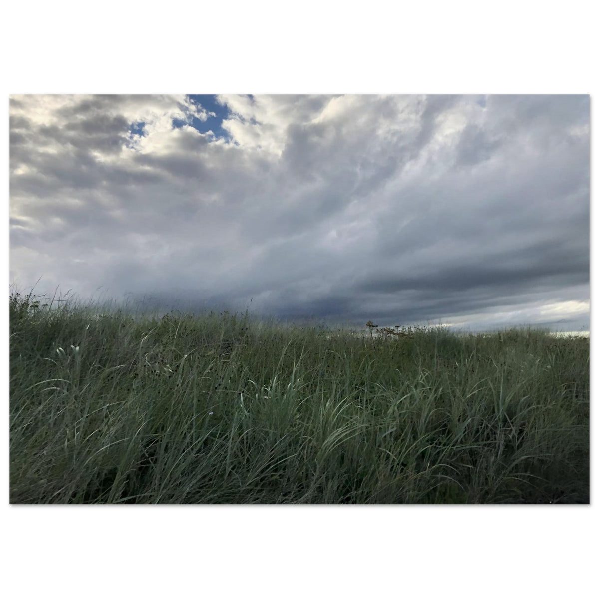 c7d6f6b5-46e6-4522-8635-7081302171dc